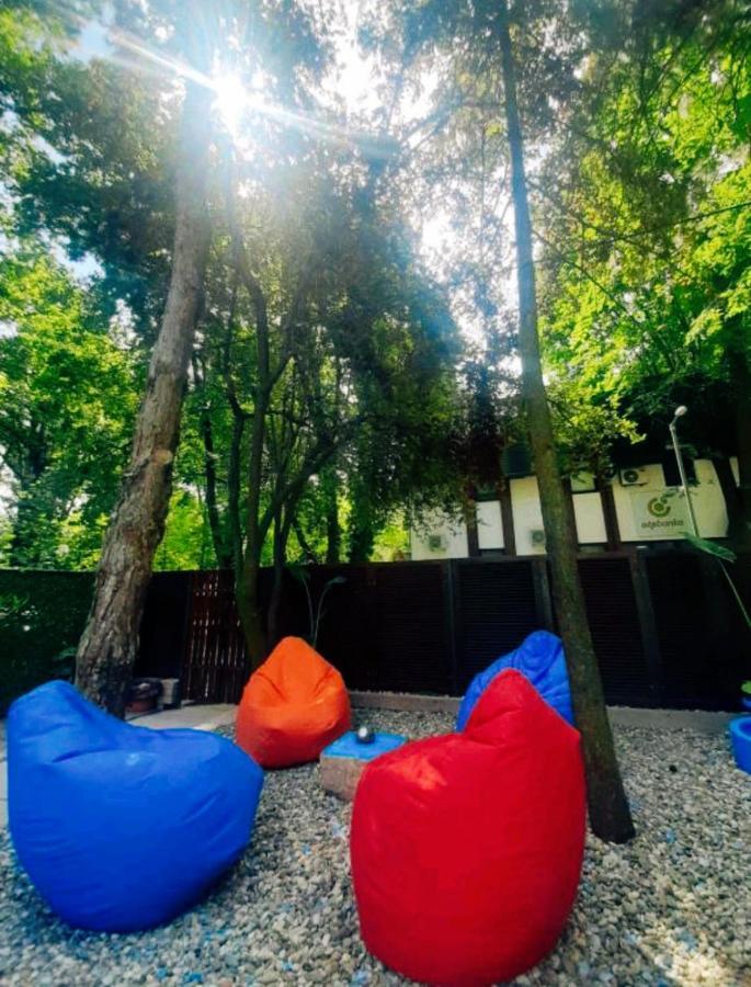 Rb Apartment 1 Палич Экстерьер фото