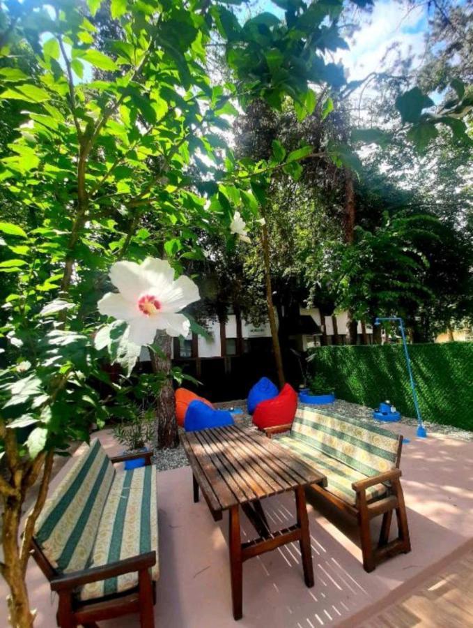 Rb Apartment 1 Палич Экстерьер фото