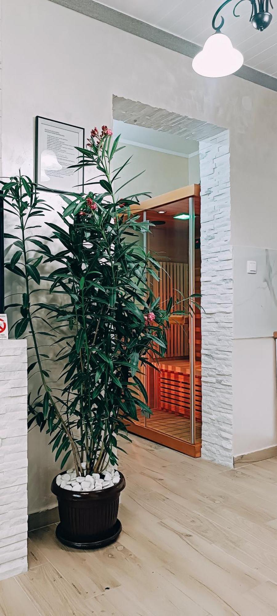 Rb Apartment 1 Палич Экстерьер фото
