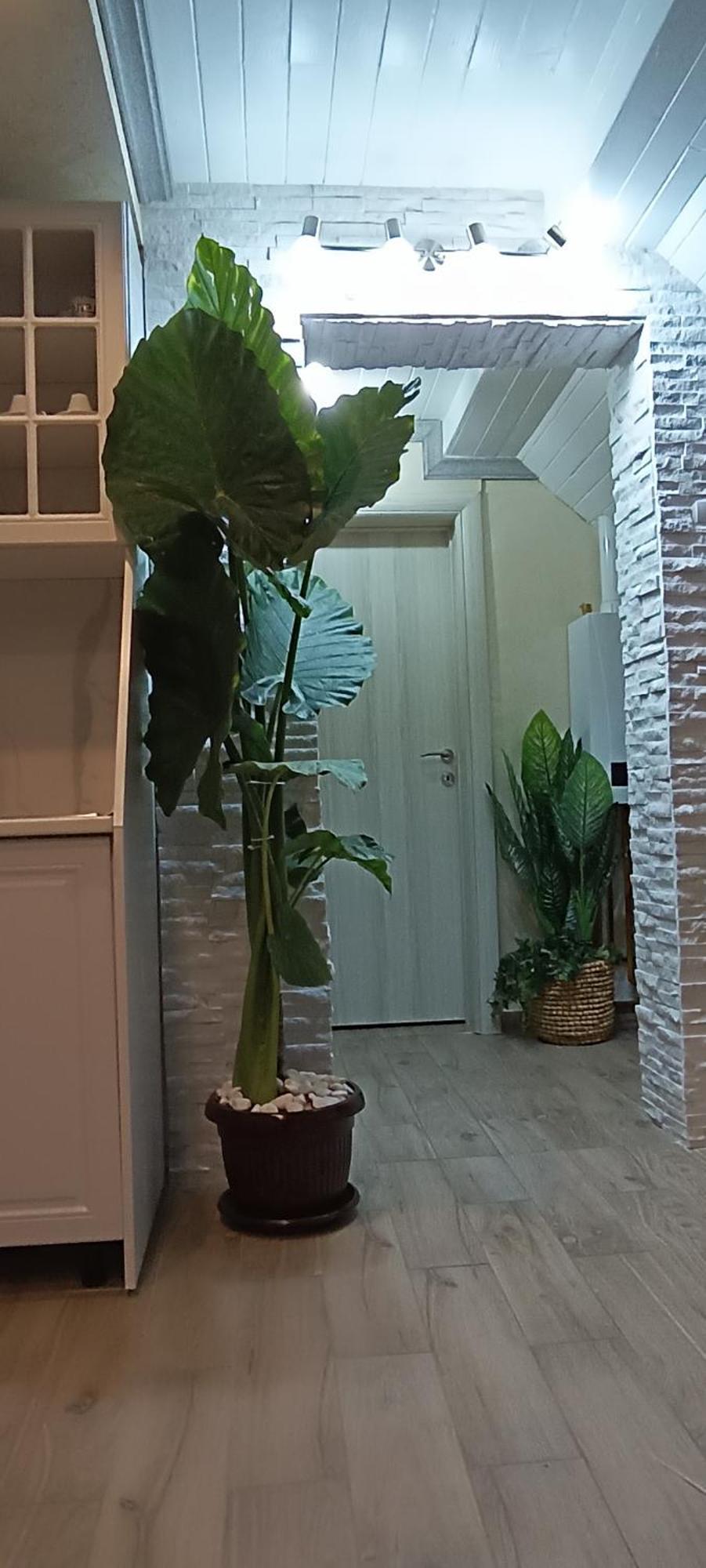 Rb Apartment 1 Палич Экстерьер фото